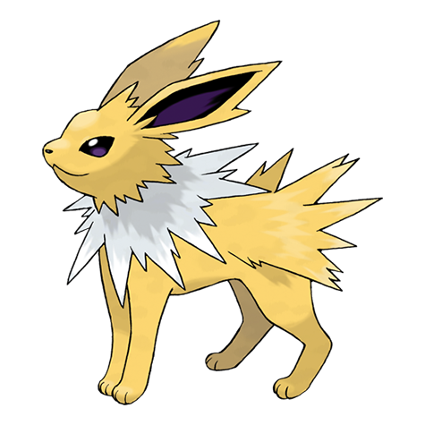 Jolteon — Pokémon Champions dex