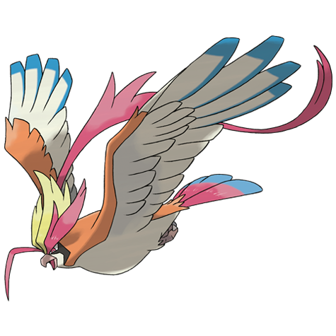 Pidgeot (Mega Pidgeot) — Pokémon Champions dex