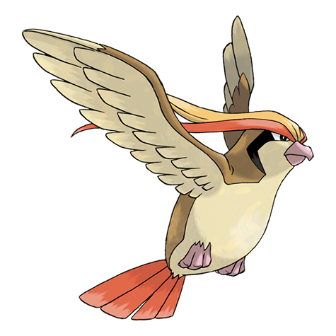 Pidgeot — Pokémon Champions dex