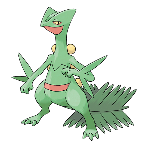 ジュカイン — Pokémon Champions dex