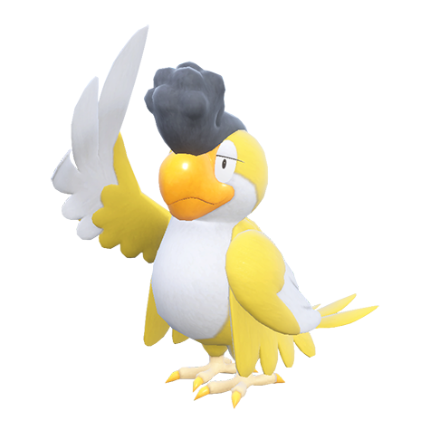 Squawkabilly (Yellow Plumage) — Pokémon Champions dex