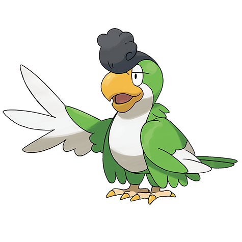 Squawkabilly — Pokémon Champions dex