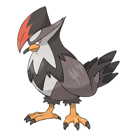 ムクホーク — Pokémon Champions dex
