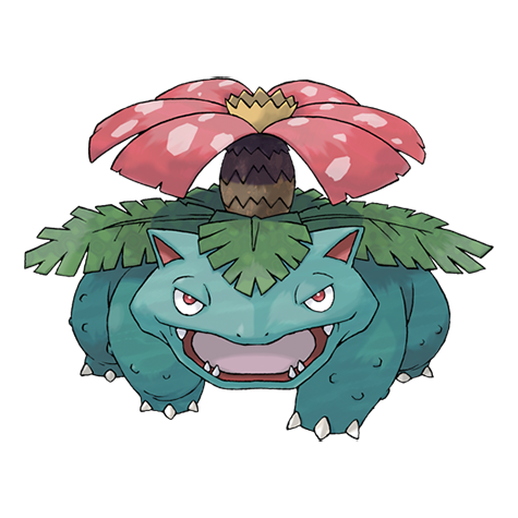 이상해꽃
