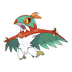 Hawlucha — Pokémon Champions dex