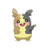 Morpeko — Pokémon Champions dex