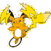 Raichu (Mega-Raichu Y) — Pokémon Champions dex