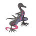 Salazzle — Pokémon Champions dex