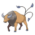 Tauros — Pokémon Champions dex