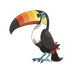 Toucannon — Pokémon Champions dex